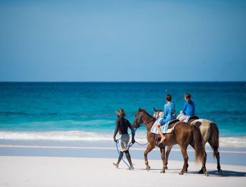 Horseback Riding on Pink Sands Beach